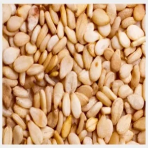 SESAME SEEDS